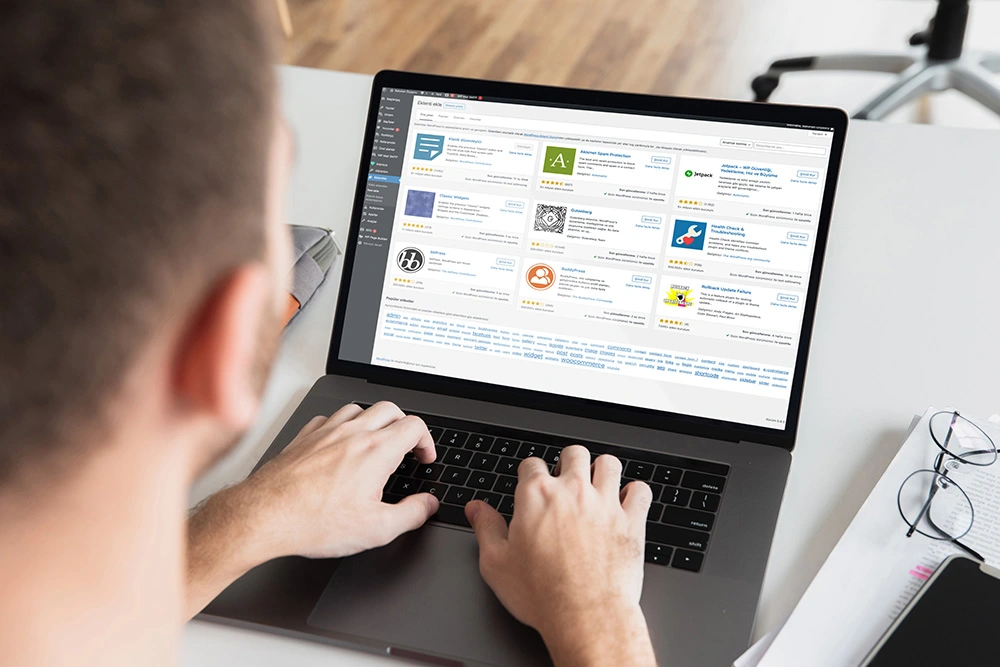 wordpress eklenti kurulumu detaylı anlatım