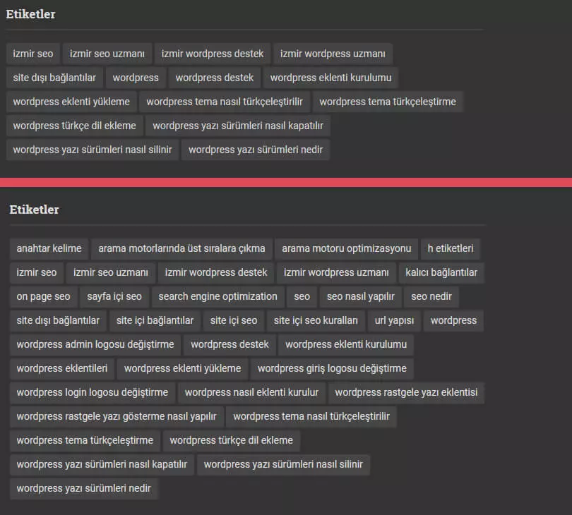 wordpress etiket bulutu bileşenine sınır koymak