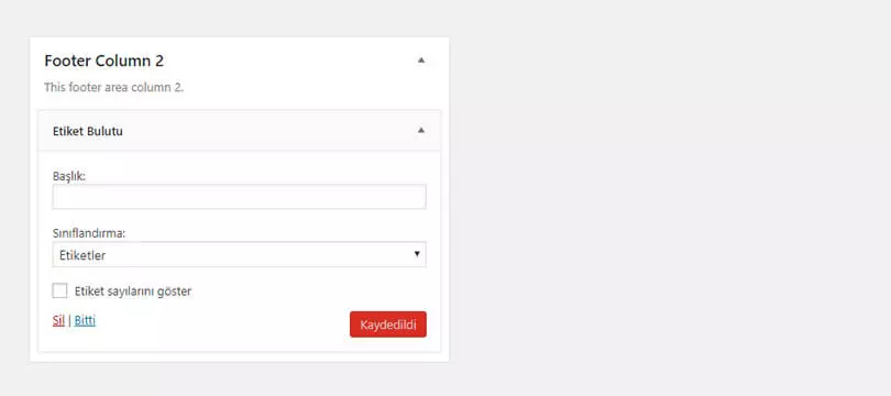 wordpress etiket bulutu bileşenine sınır koymak