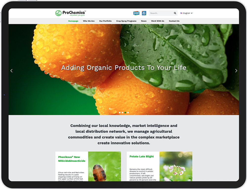 prochemica web tasarım çalışması