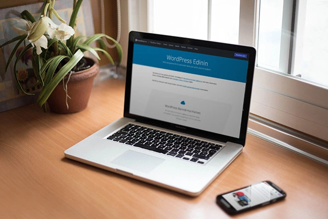 wordpress site yapımı